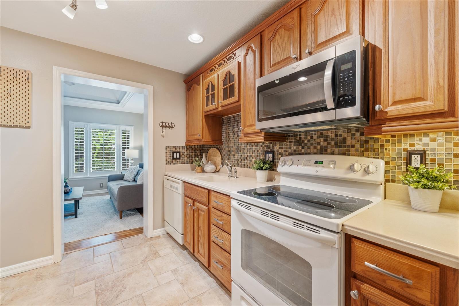 SPRING VALLEY CHASE - Residential