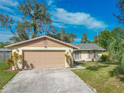 Photo of 925 Mcintosh Circle, Brandon, FL 33510 (MLS # TB8444953)