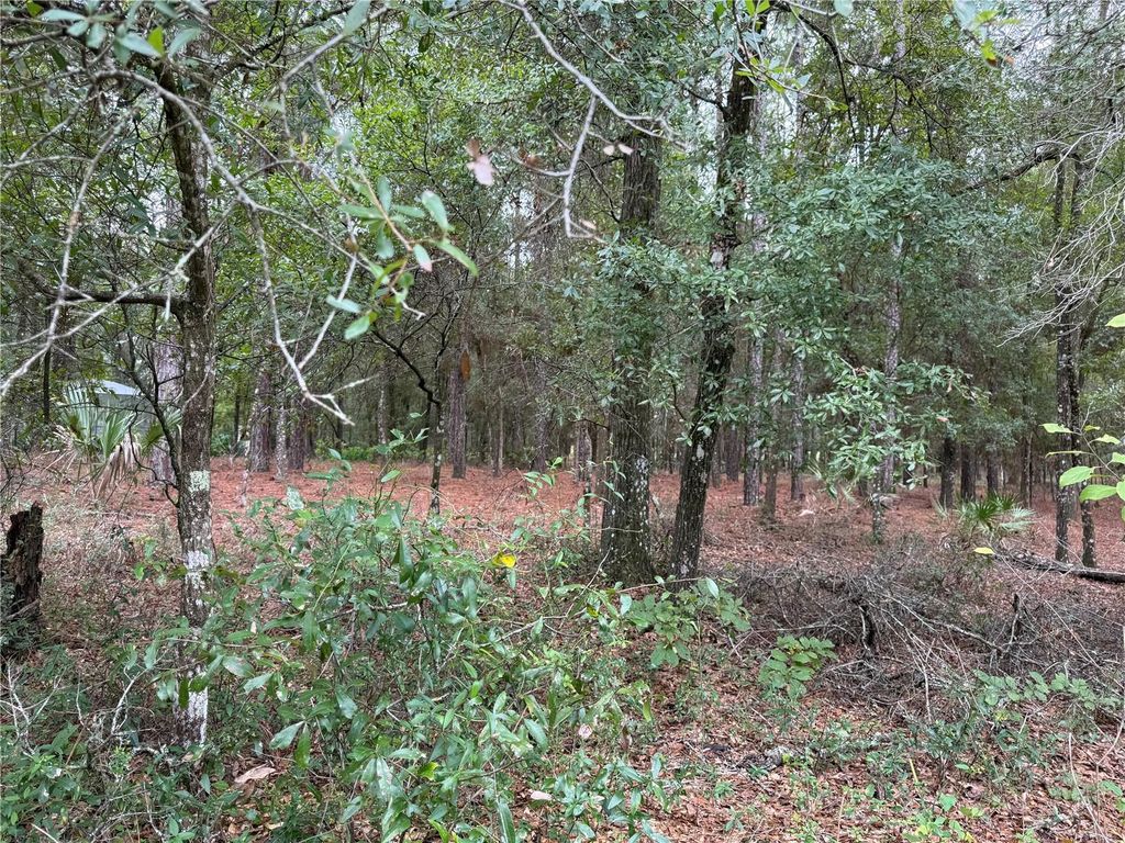 Photo of Tbd SW 185th Circle, Dunnellon, FL 34432 (MLS # OM711332)