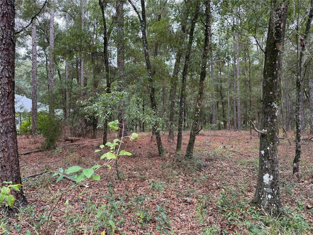 Photo of Tbd SW 185th Circle, Dunnellon, FL 34432 (MLS # OM711332)
