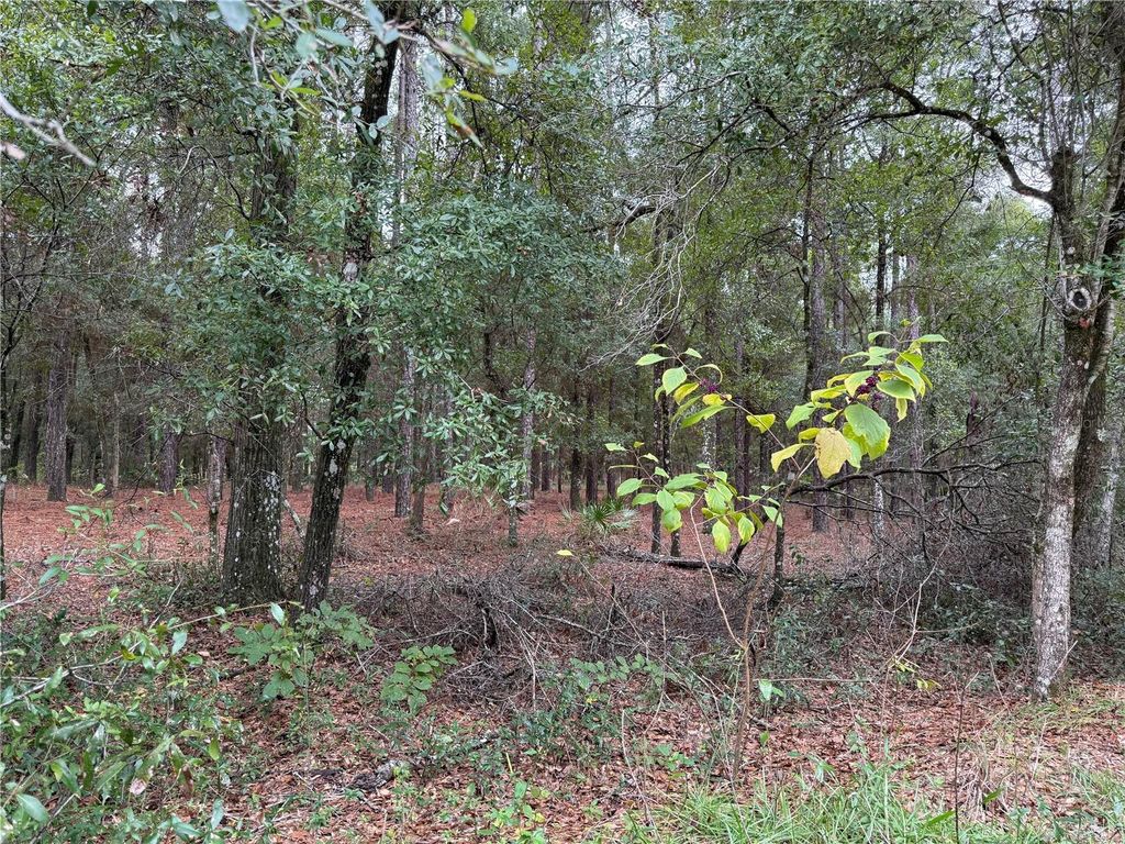 Photo of Tbd SW 185th Circle, Dunnellon, FL 34432 (MLS # OM711332)