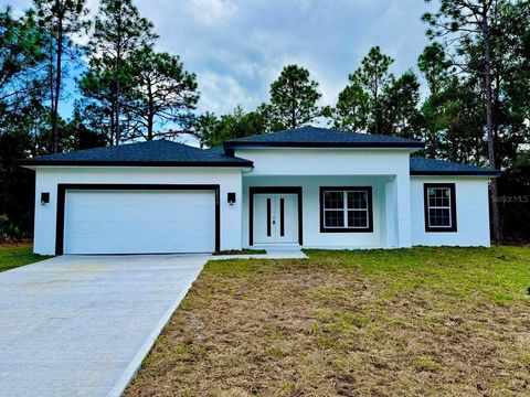 A home in CITRUS SPRINGS