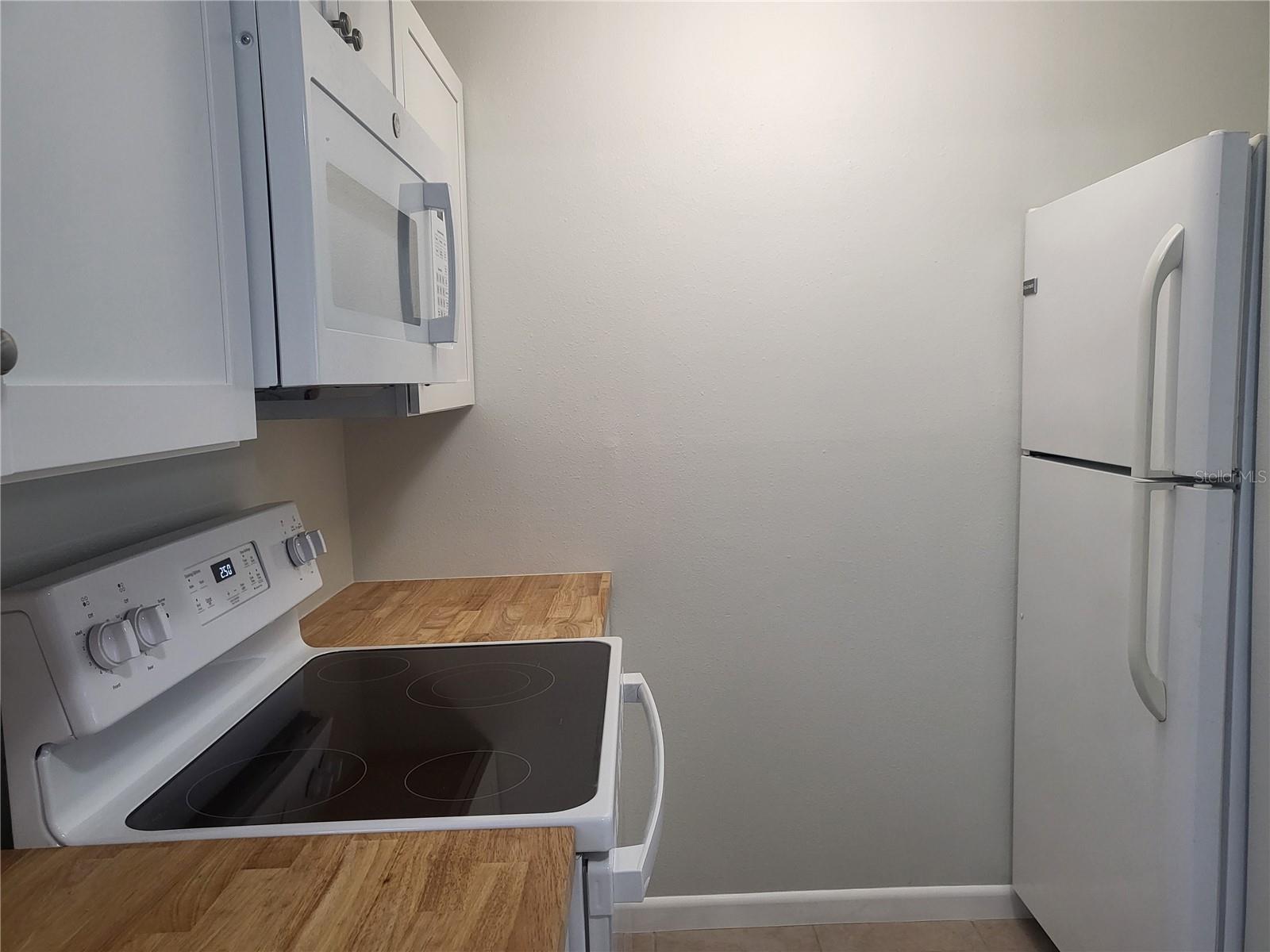 TAVARES LAKEVIEW CONDO - Residential