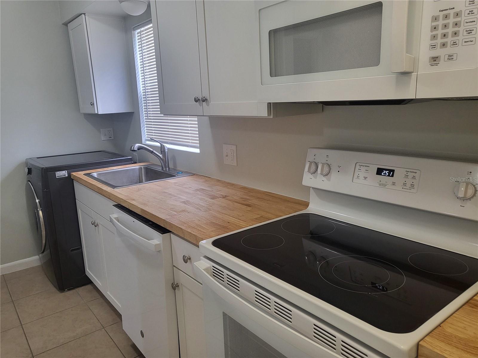 TAVARES LAKEVIEW CONDO - Residential