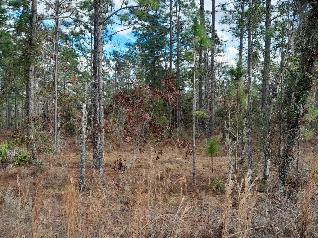 Photo of Tbd NE 150th Avenue, Williston, FL 32696 (MLS # OM715287)