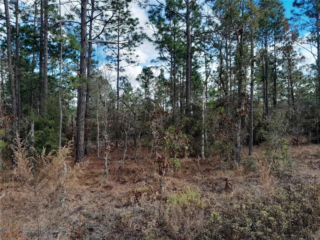 Photo of Tbd NE 150th Avenue, Williston, FL 32696 (MLS # OM715287)