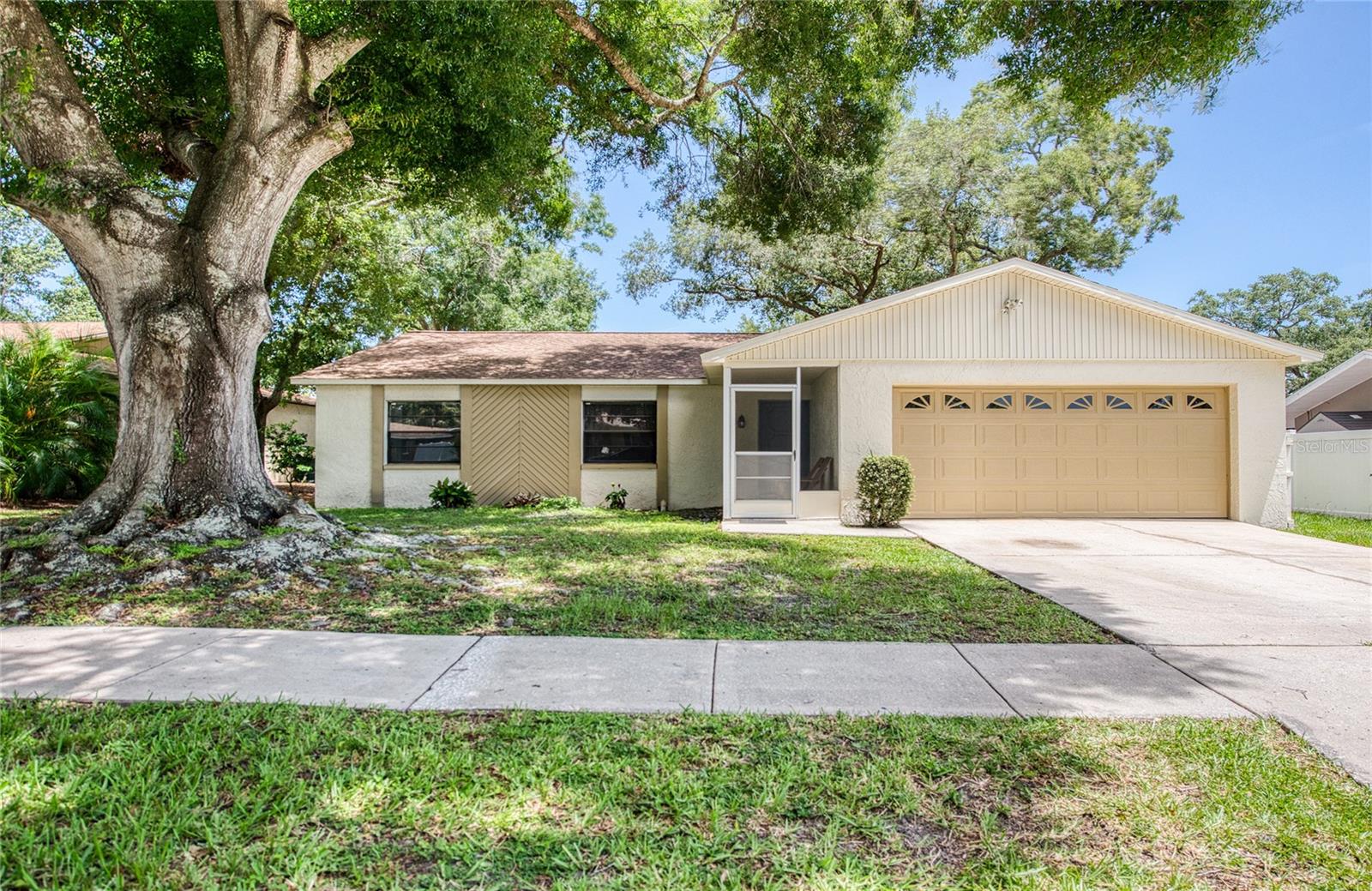 Here it is, tihe one you've been looking for: This 3 bedroom, 2 bath home is in the heart of Safety Harbor, with Eat in kitchen, spacious Great room with beautiful Fireplace. Surround sound system for your enjoyment. Your fenced in backyard is perfect for entertaining or a Gym Set for the kiddos, or just to let the doggies out to play. Electric outlet for your spa. Spacious 2 car garage with washer & dryer & a workbench for the hubby. Great schools for the kids. Close to Countryside Mall, Philippe Park, TIA and many churches of your choice, as well as several restaurants to choose from. Everything within minutes, not to mention the quiet neighborhood with lots of shaded trees as you drive through. Don't wait, schedule your showing today!