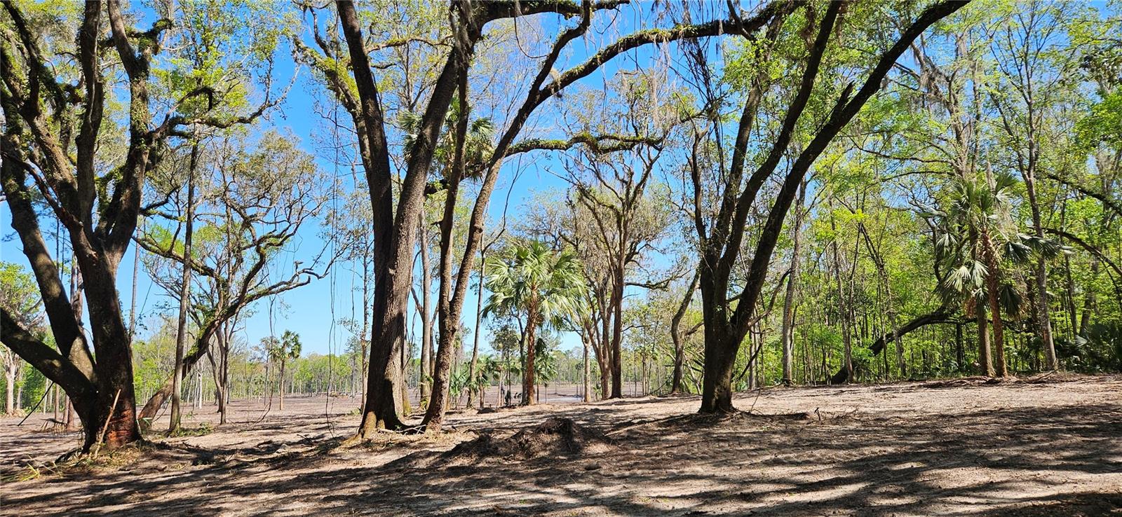 22ac NW 193RD ST