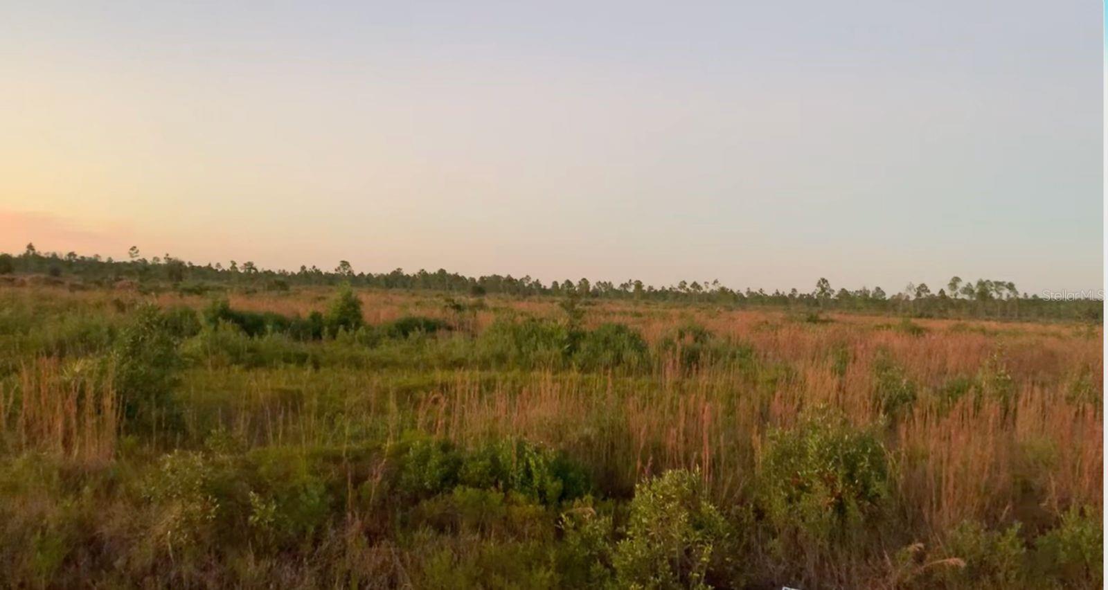 Build the lifestyle you've always dreamed of on this spacious half-acre homesite at 418 Portulaca Dr, nestled within the serene community of Indian Lake Estates Golf & Country Club. This land offers privacy, tranquility, and room to create your perfect home retreat. Embrace Florida living with unparalleled amenities—boating, fishing, a scenic golf course, waterfront pavilion, clubhouse and more, all within your neighborhood. Experience the perfect balance of nature and convenience, situated comfortably between Orlando and Tampa. Welcome to your future home site!