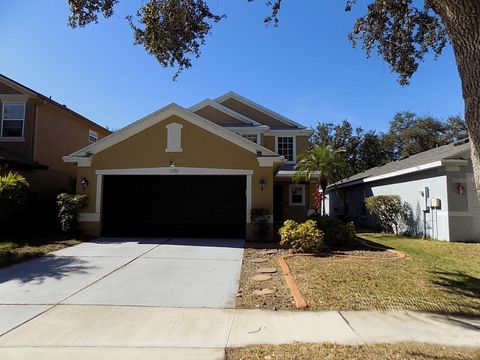 Photo of 11722 Crest Creek Drive, Riverview, FL 33569 (MLS # W7883003)