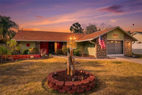 15847 ADOBE DRIVE HUDSON FL 34667