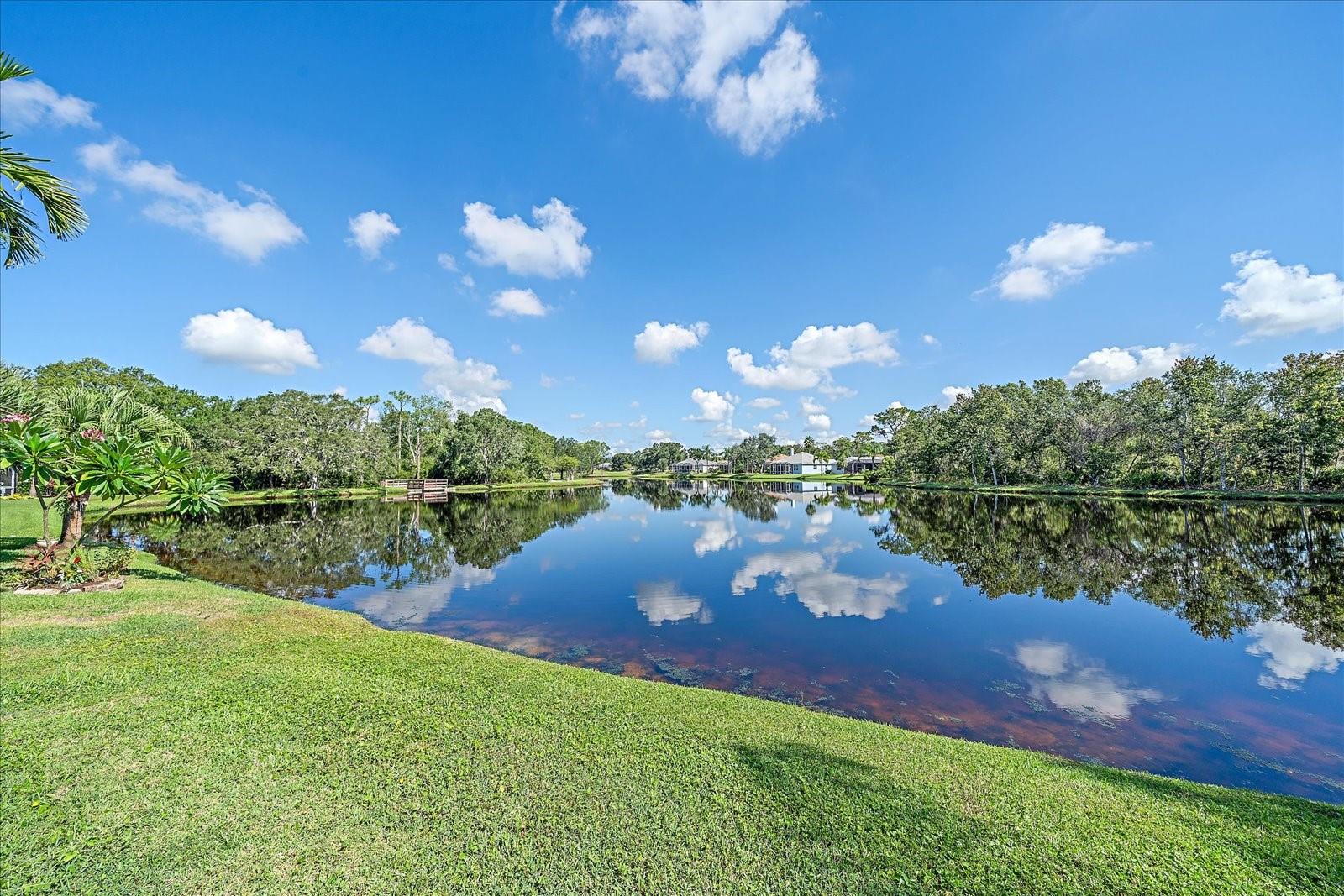 SUMMERFIELD VILLAGE SUBPHASE A - Residential