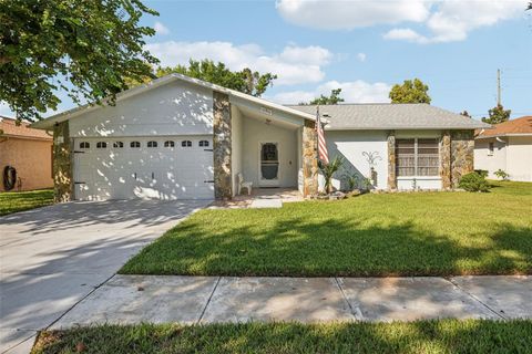 11211 ROLLINGWOOD DRIVE PORT RICHEY FL 34668