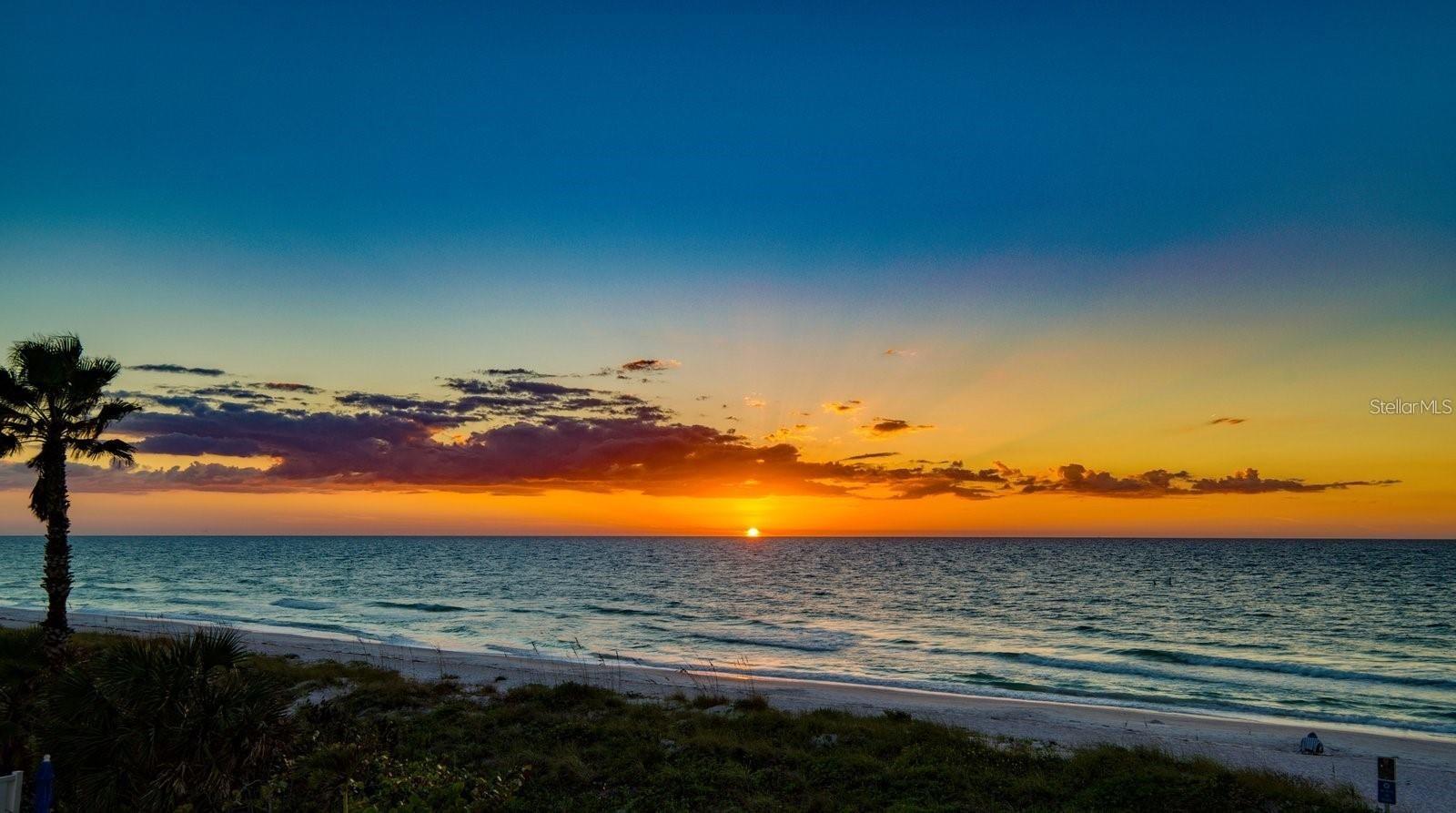 CARRIAGE HOUSE BEACH RESORT CONDO - Residential