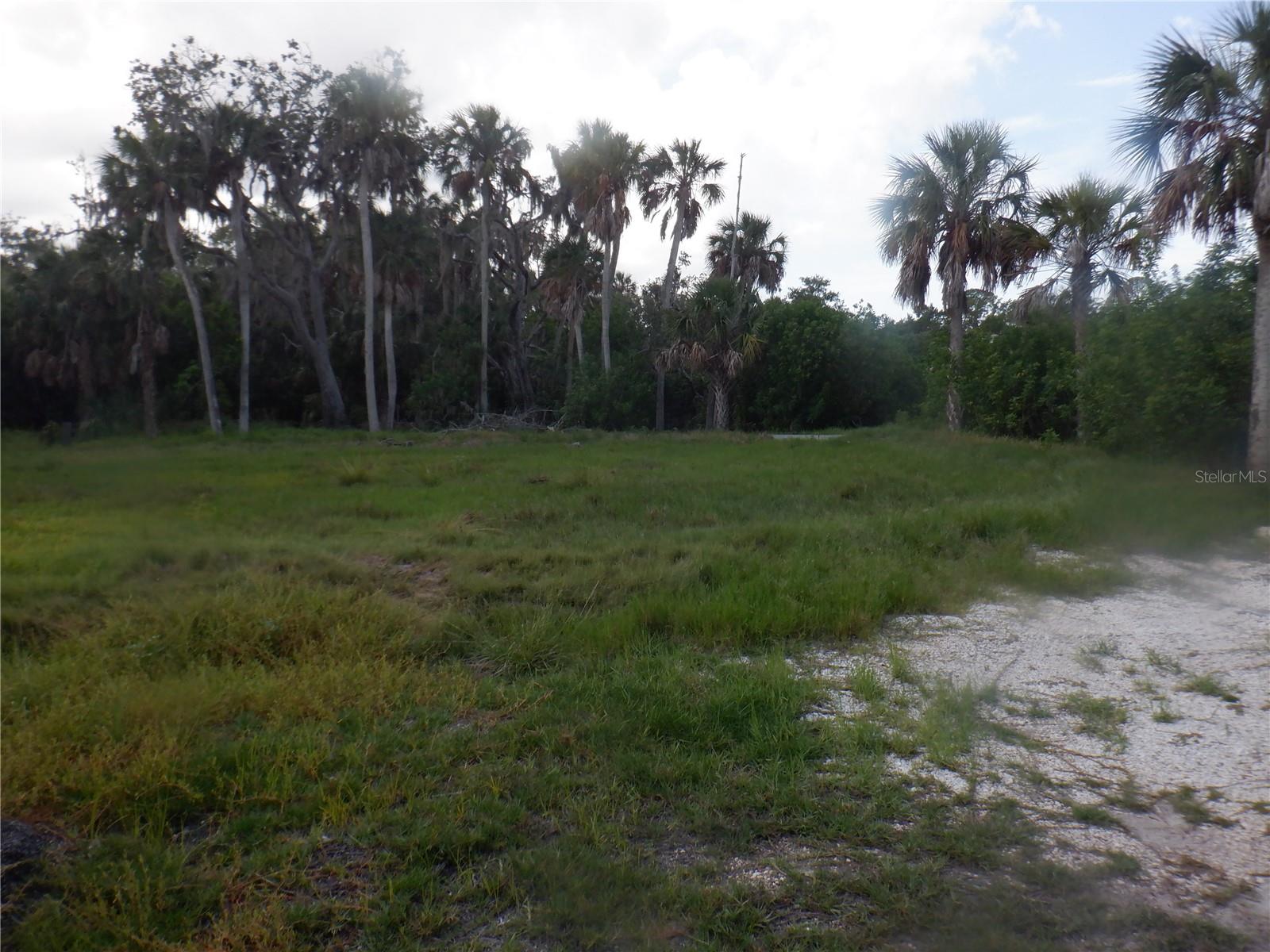 TREASURE COVE - Land