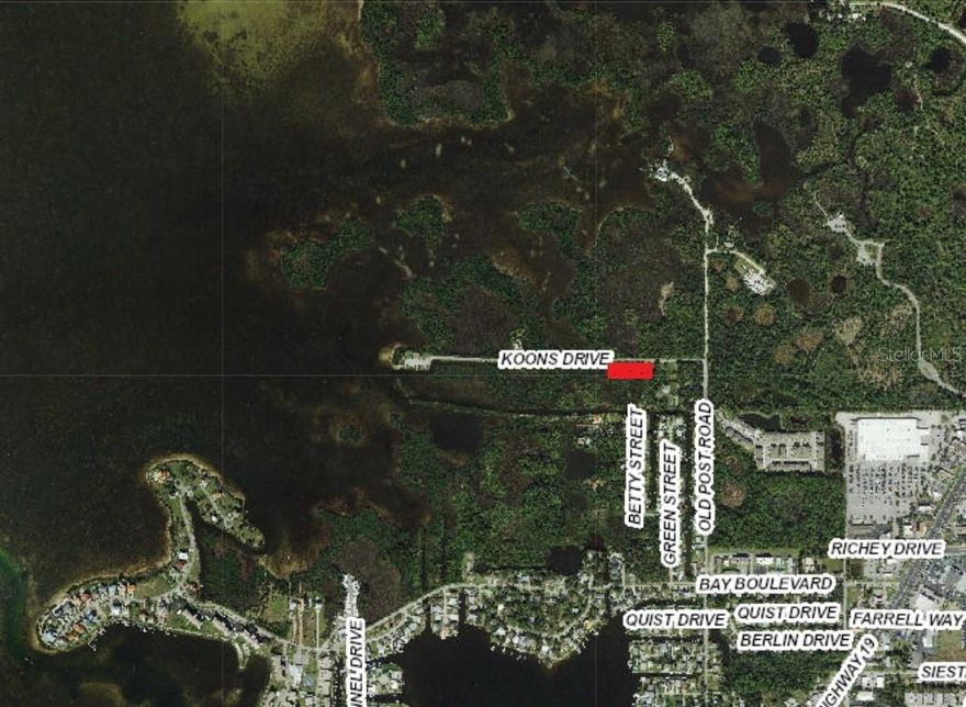 1.88 Acre Gulf View Lot.  7500 sq feet or so usable.  The rest will guarantee no one will build and block your immediate gulf view, (around 700 feet).    This property is a short walk to Brasher Park, a waterfront park on the Gulf of Mexico that features a boat ramp, kayak launch, playgrounds, walking trails, pavilions and BBQ grills. Though not in the gated part, this lot is in the community of Treasure Cove. The community has a private boat ramp on a canal that leads directly to the open waters of the Gulf of Mexico. The HOA owns approximately 18 acres of wetlands, sawgrass, and mangroves that will remain undeveloped.  Build your dream home, minimum of 1700 sq feet.