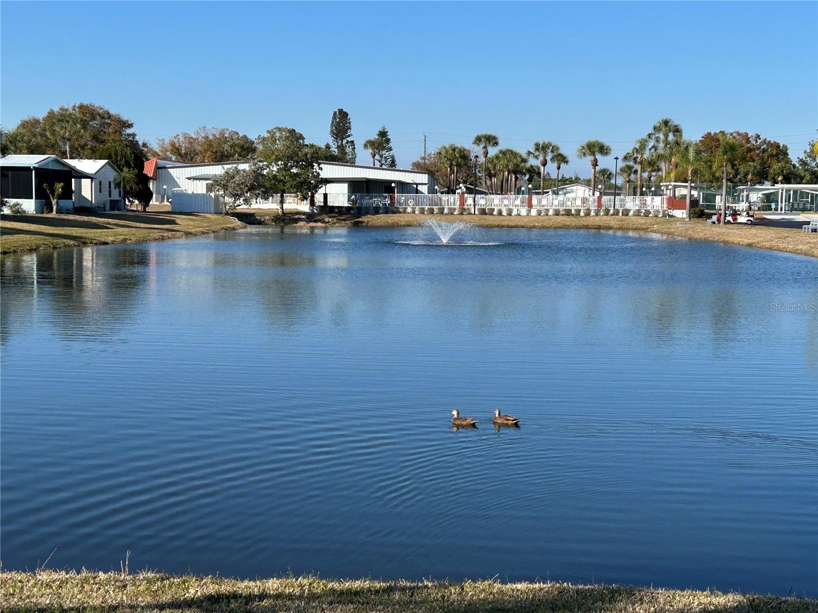 GOLD TREE CO-OP - Residential