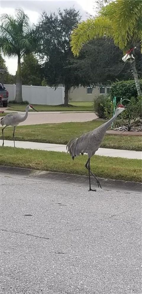 A home in ELLENTON