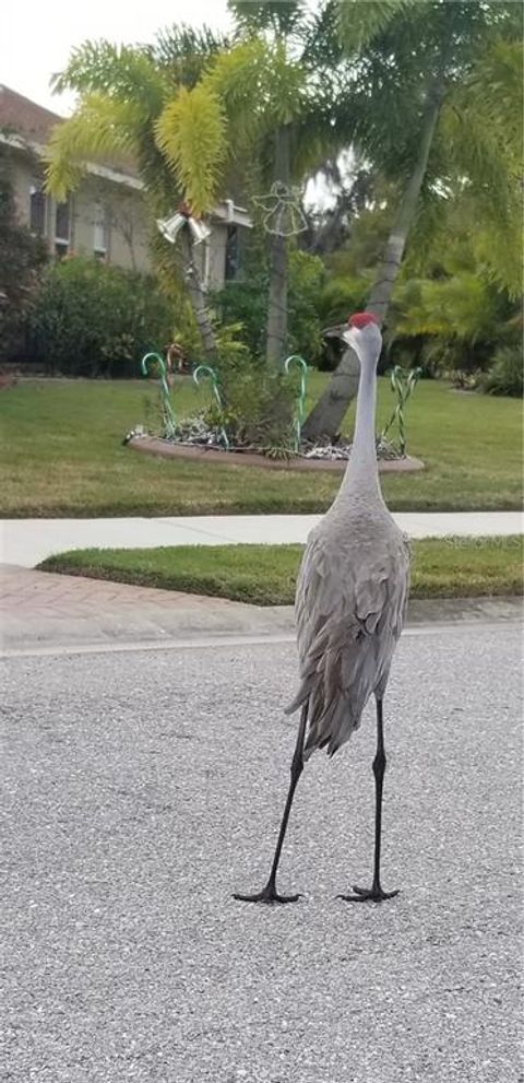 A home in ELLENTON