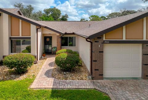 Photo of 7403 Heather Walk Drive, Weeki Wachee, FL 34613 (MLS # W7879057)