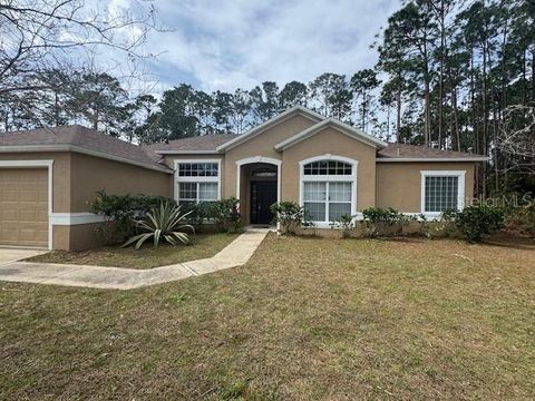 A home in PALM COAST