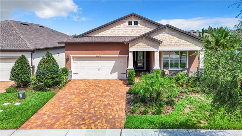 A home in LAND O LAKES