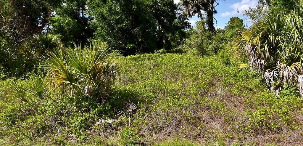 Photo of Roth Street, North Port, FL 34288 (MLS # A4700753)