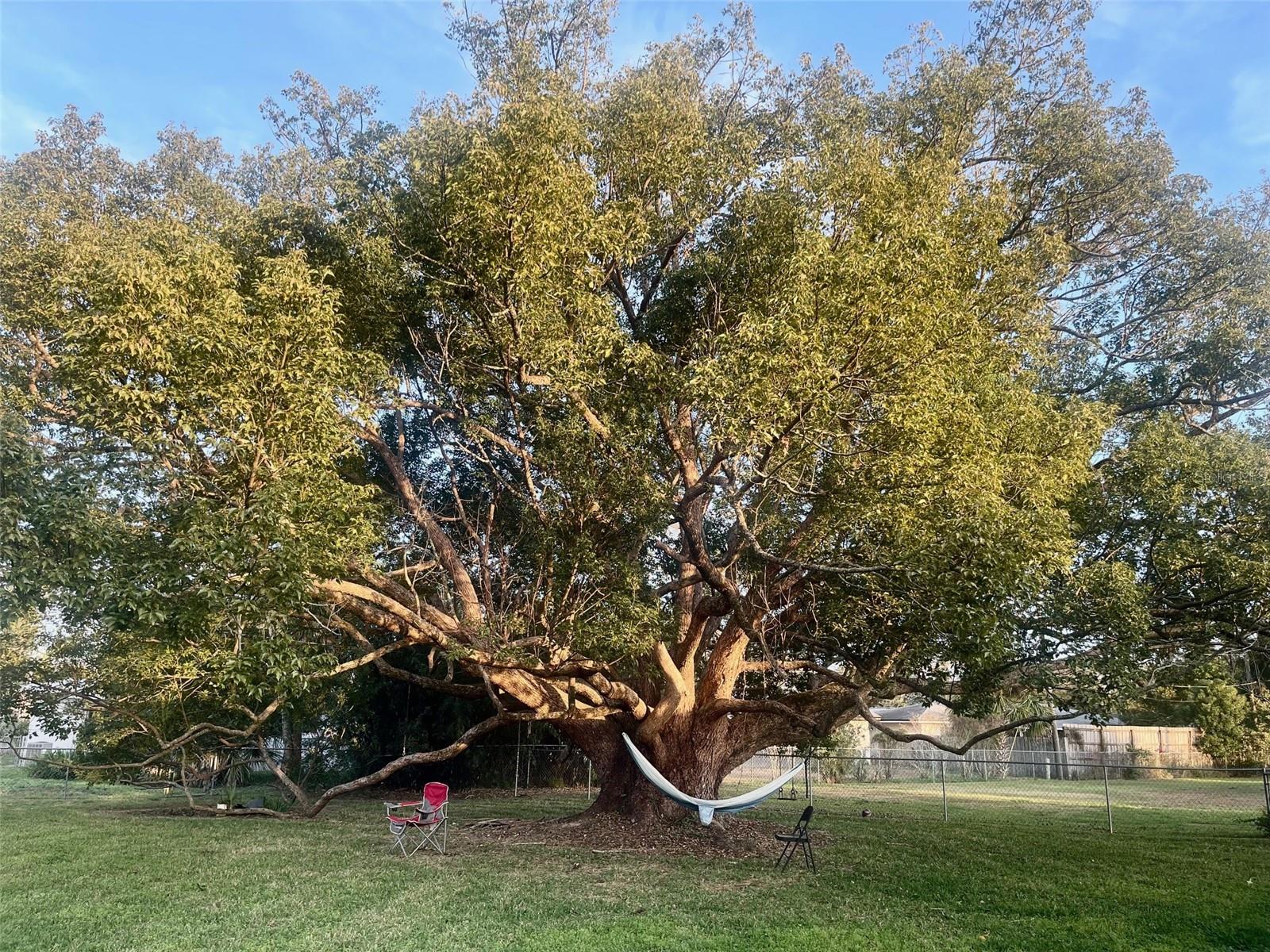 EASTBROOK SUB - Residential Lease