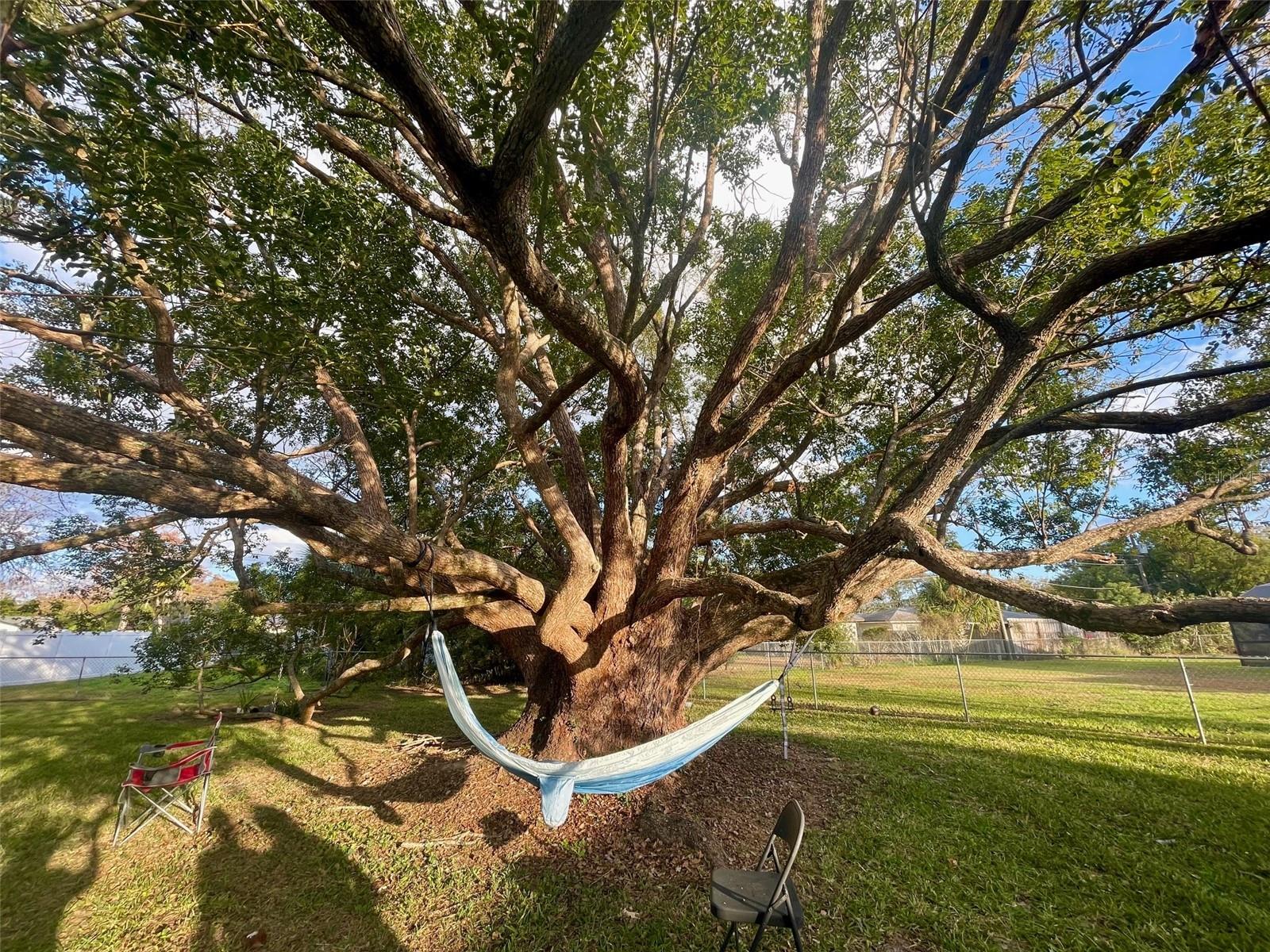 EASTBROOK SUB - Residential Lease