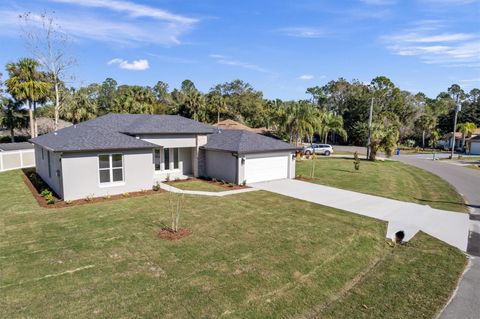 A home in PALM COAST