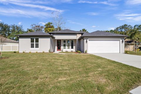 A home in PALM COAST