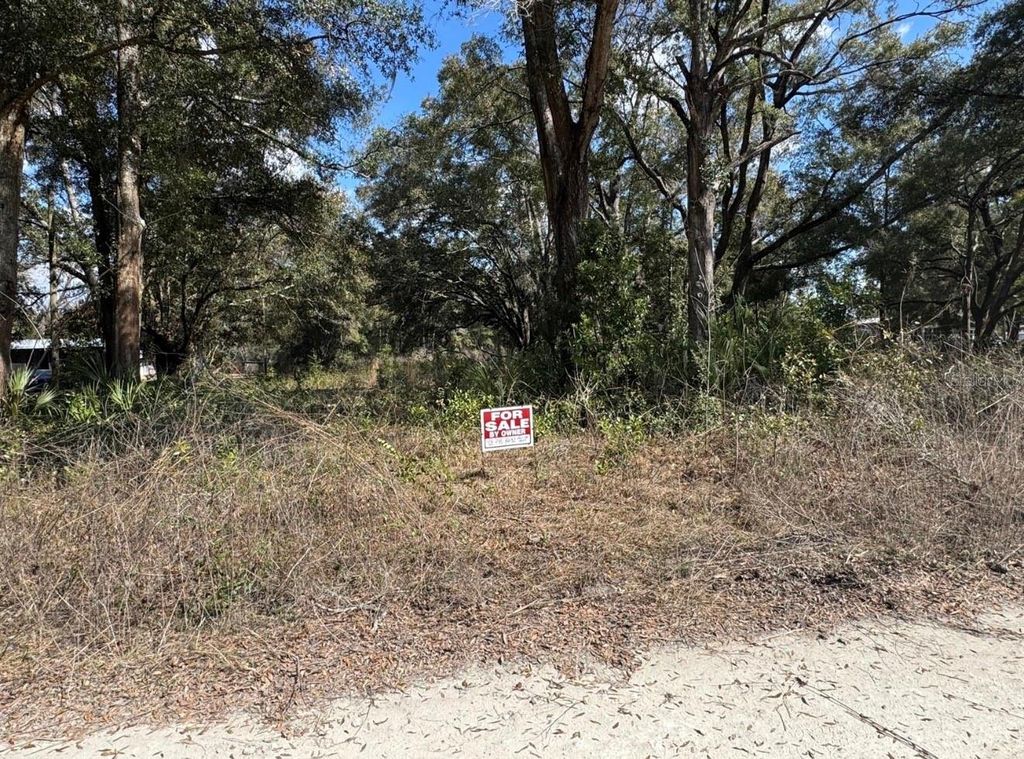 Photo of 17449 NW 89th Ter, Fanning Springs, FL 32693 (MLS # S5144817)