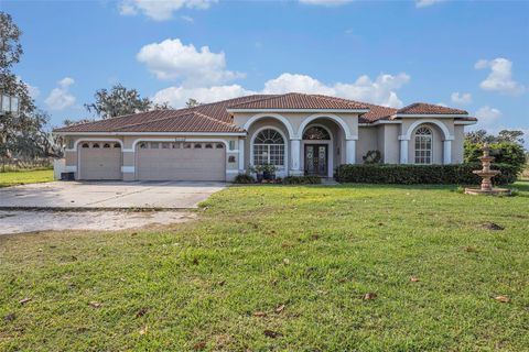 A home in LITHIA