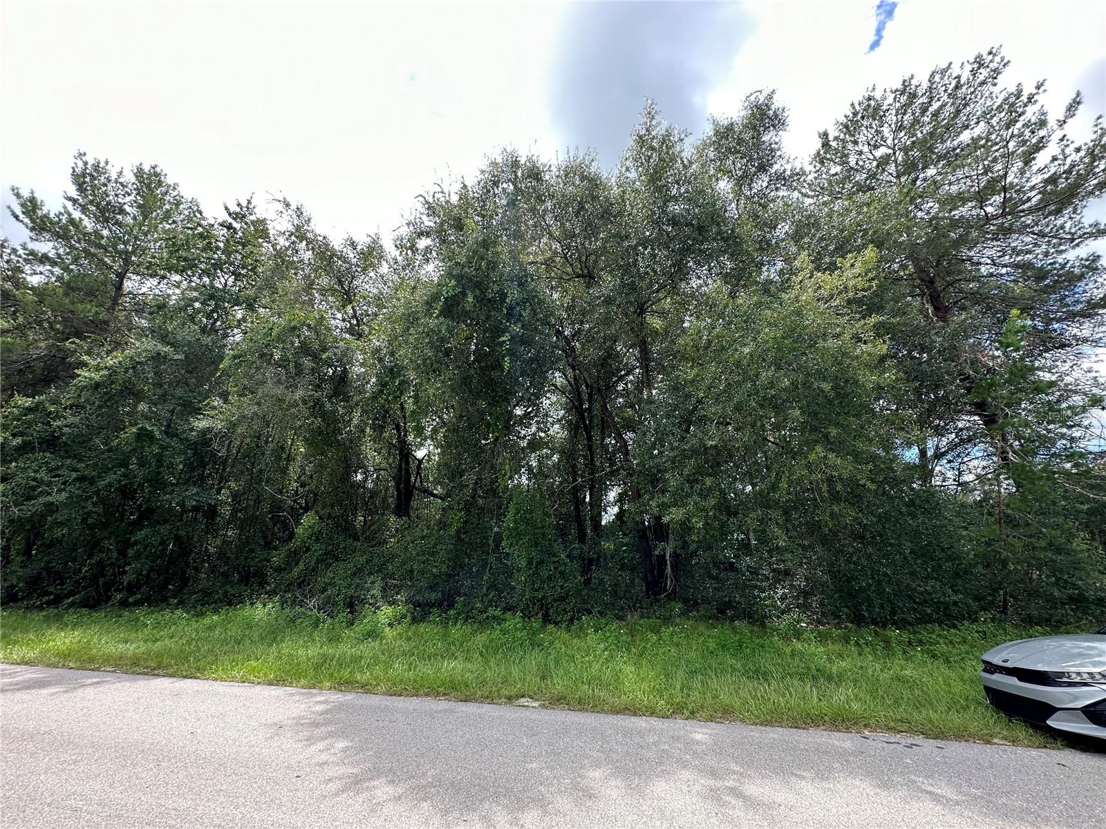 MARION OAKS UN THREE - Land