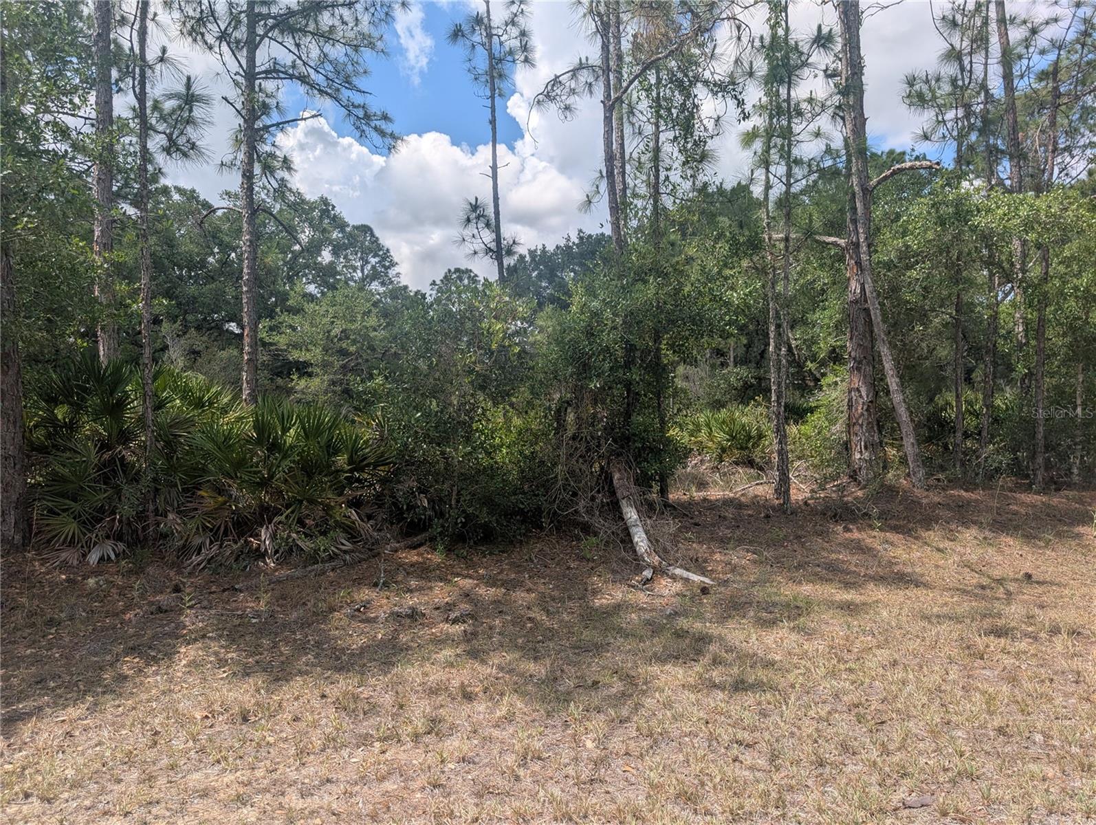 ALLAMANDA DRIVE