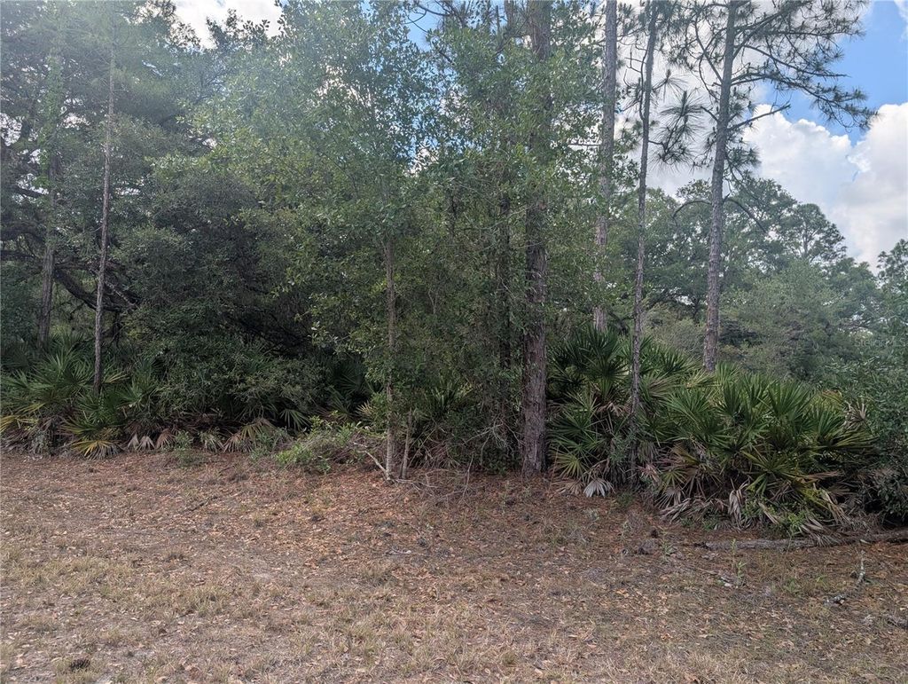 Photo of Allamanda Drive, Indian Lake Estates, FL 33855 (MLS # P4938767)