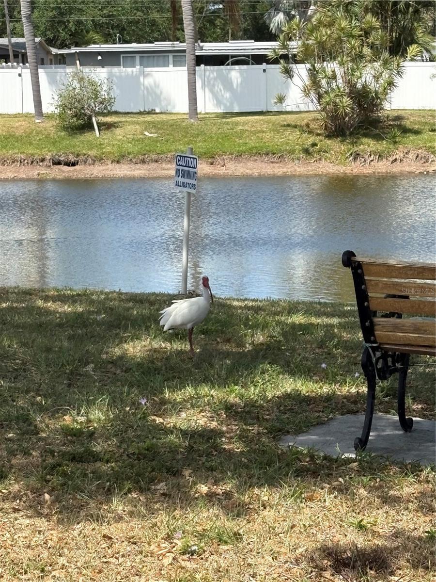 LAKE SEMINOLE RESORT NORTH M/H UNREC - Residential