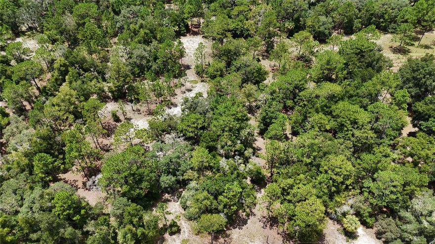 Welcome to an exceptional opportunity with this adaptable 2.02-acre parcel of land, offering a serene rural retreat with
endless possibilities. This property is perfect for those seeking an ideal spaciousness, peace, and versatility.
Zoned for the placement of manufactured homes, it presents a fantastic chance to create your personalized homestead. This property is in an X flood zone (FEMA guidelines). Embrace the potential of RURMH zoning