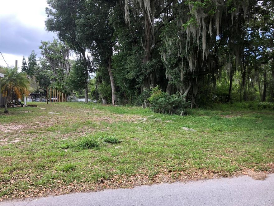8.72 Acres on canal to Lake Eustis. Includes a large portion of wetlands. New Lake County Ordinance 2023-50 allows single family and mobile homes less than 800 sf living area on lots with minimum of 12,500 sq.ft. Due Diligence is buyers responsibility to ensure use of land, appropriate zoning requirements,  set-back requirements. Water Determination and survey available upon request. Motivated Seller, Bring offer!