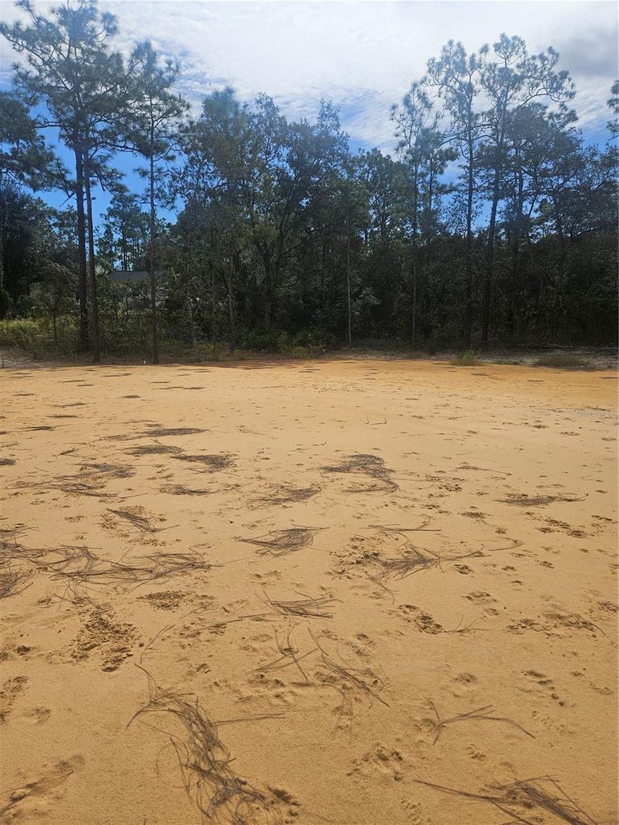 Welcome to 33216 Teakwood Dr, where the best of both worlds collide — peaceful country living with easy access to everything you need! This 1.16-acre high-and-dry parcel in the tranquil Ridge Manor Estates community offers the perfect canvas for your custom dream home.
The land is partially cleared and ready to build, so you can start your new chapter without delay. Picture yourself waking up to wide-open skies, the scent of nature, and the freedom to design a space that truly fits your lifestyle.
 Location, Location, Location!
You’ll love the convenience — just 15–20 minutes to Walmart and I-75, giving you a smooth commute to nearby towns, shopping, and restaurants.
Recreation Right at Your Fingertips:
Ridge Manor Estates residents enjoy access to a full lineup of amenities, including:
Baseball & Softball Fields
Basketball Courts
Gazebos & Picnic Shelters
Volleyball & Open Play Areas
Walking Trail & Lighted Fields
Playgrounds & Pavilions
And with no HOA restrictions and site-built homes only, you get the freedom to build your way while maintaining neighborhood charm and quality.
?? The Bottom Line:
A build-ready lot in a growing Central Florida community — priced right, positioned smart, and ready for the right buyer. Don’t just imagine your dream home… build it here!
33216 Teakwood Dr, Webster, FL 33597
Your country escape with modern convenience awaits.