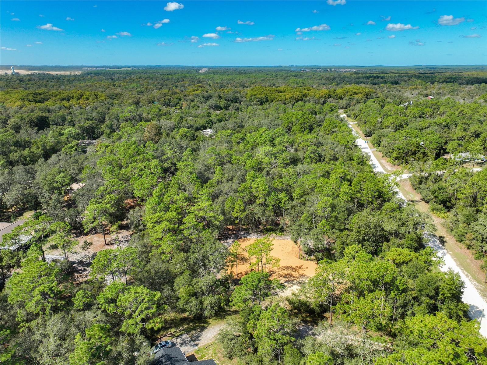 RIDGE MANOR ESTATE - Land