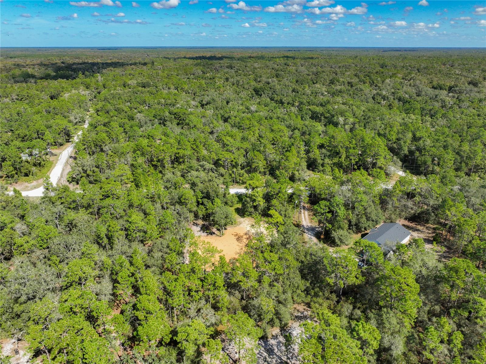 RIDGE MANOR ESTATE - Land