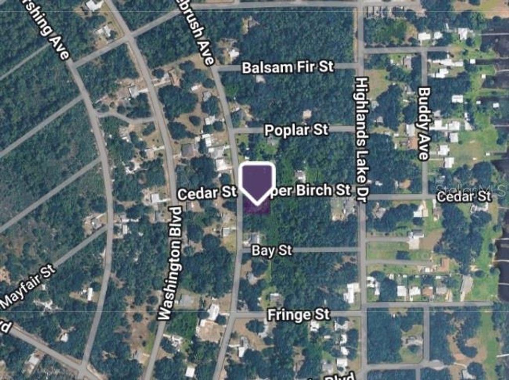 Photo of 367 Bottlebrush Avenue, Lake Placid, FL 33852 (MLS # TB8481067)