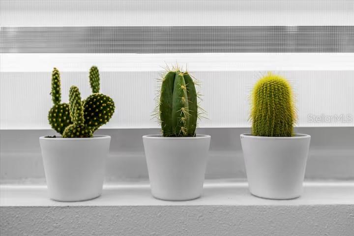 F E TAYLORS SUB - Residential Lease