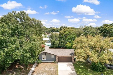 A home in ORLANDO