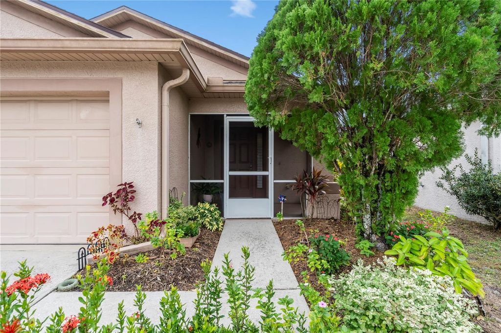 Photo of 31052 Masena Drive, Wesley Chapel, FL 33545 (MLS # TB8453454)