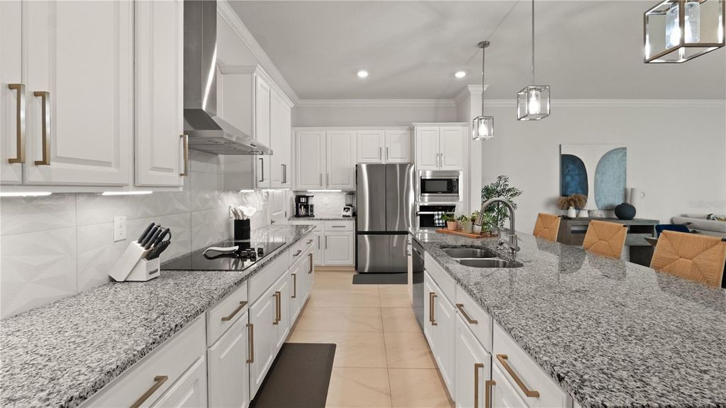 Photo of 8946 Ivy Stark Boulevard, Wesley Chapel, FL 33545 (MLS # TB8377345)