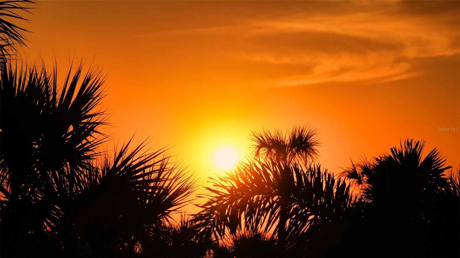 SANCTUARY IV - Residential