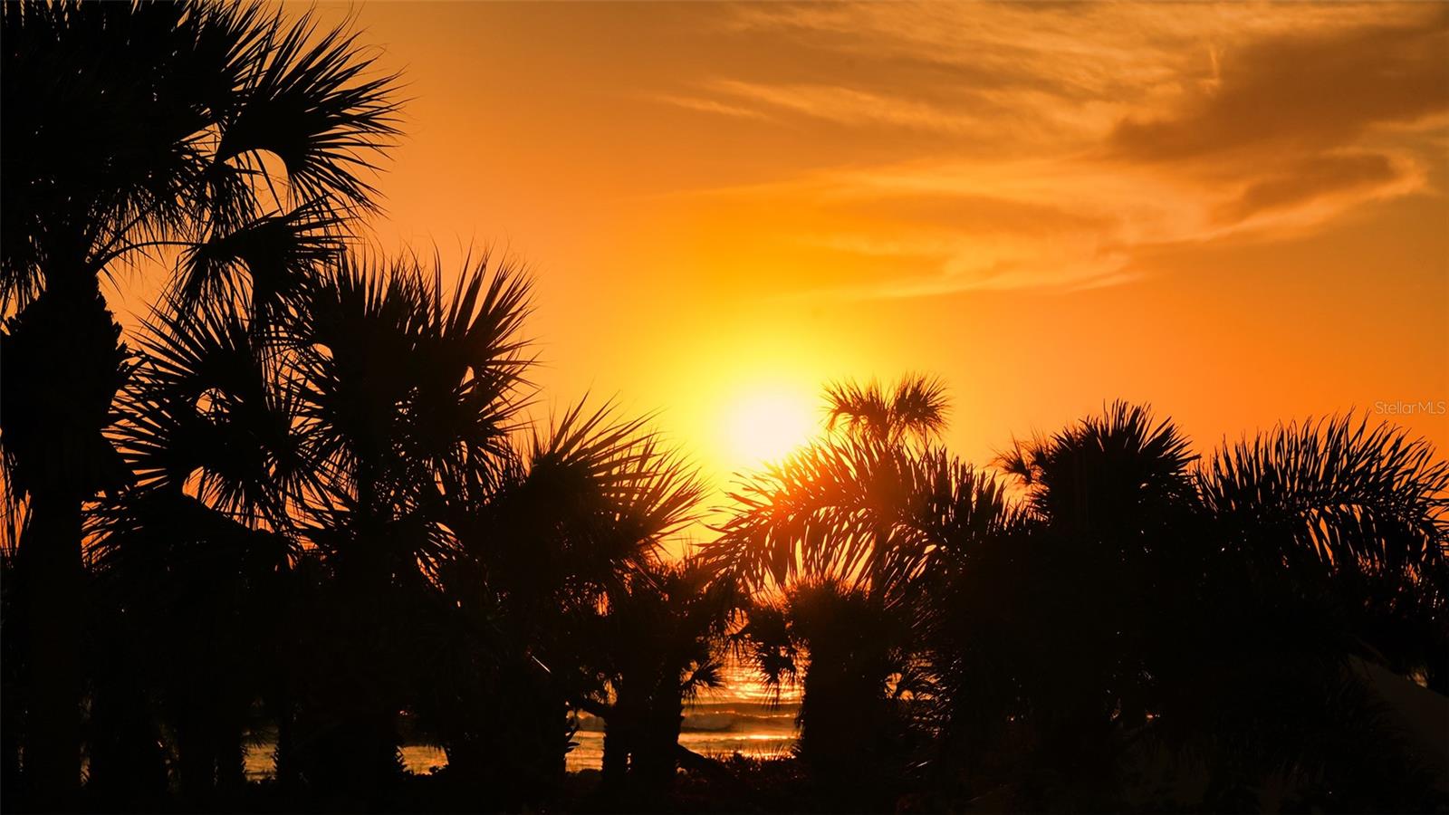 SANCTUARY IV - Residential