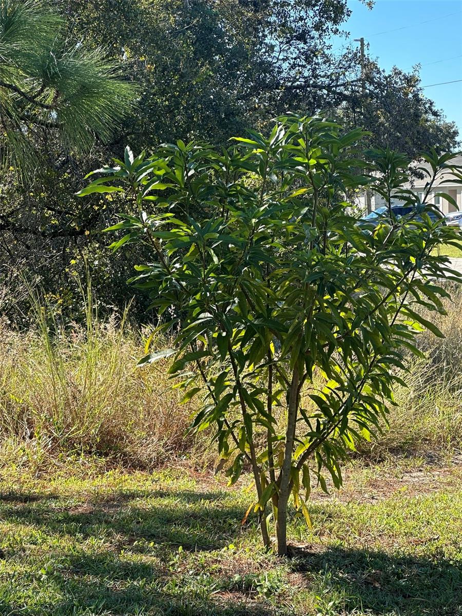 POINCIANA NBRHD 02 WEST VILLAGE 07 - Residential